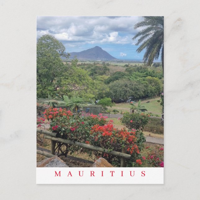 Carte postale panoramique Maurice (Devant)
