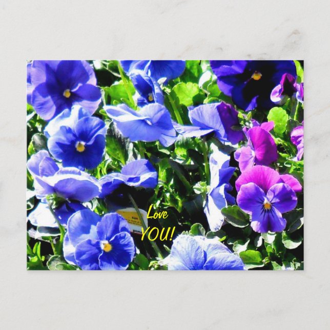 Carte Postale Pansement de Home Depot (Devant)
