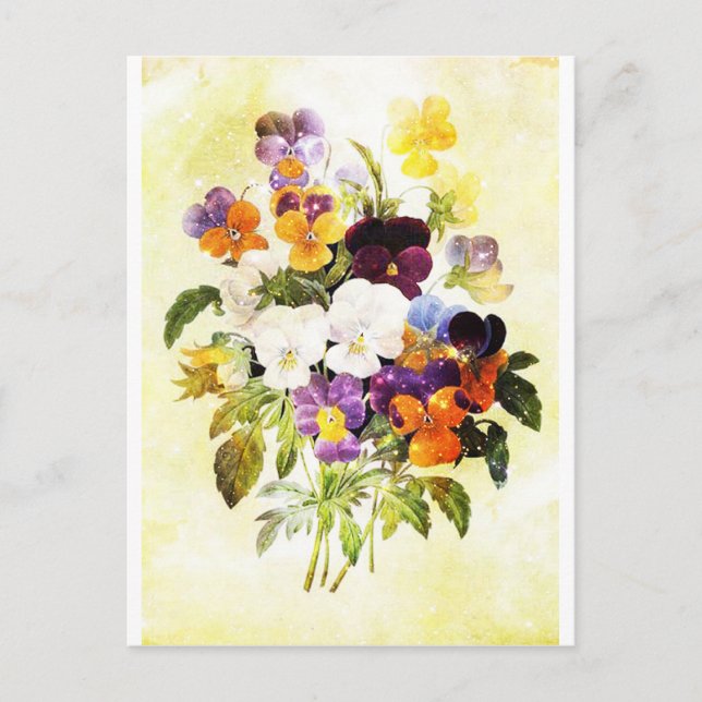 Carte Postale Pansies (Devant)
