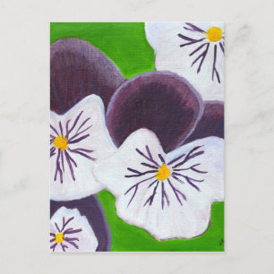 Carte Postale Pansies