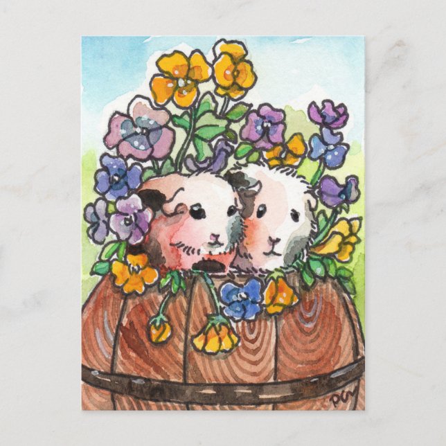 Carte Postale Pansies et amis (Devant)