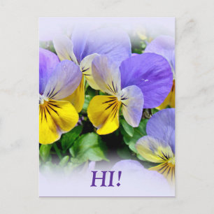 Carte Postale Pansies - pourpre et jaune
