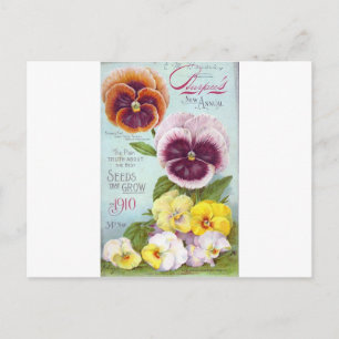 Carte Postale Pansies vintages