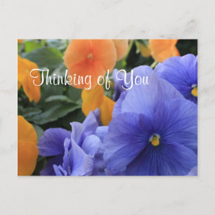 Carte Postale Pansies violettes et orange avec photo florale ver