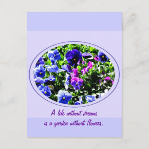 Carte Postale Pansy