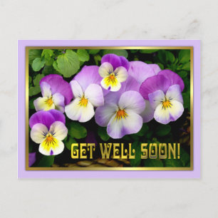 Carte Postale Pansy ~ Get Well Postcard