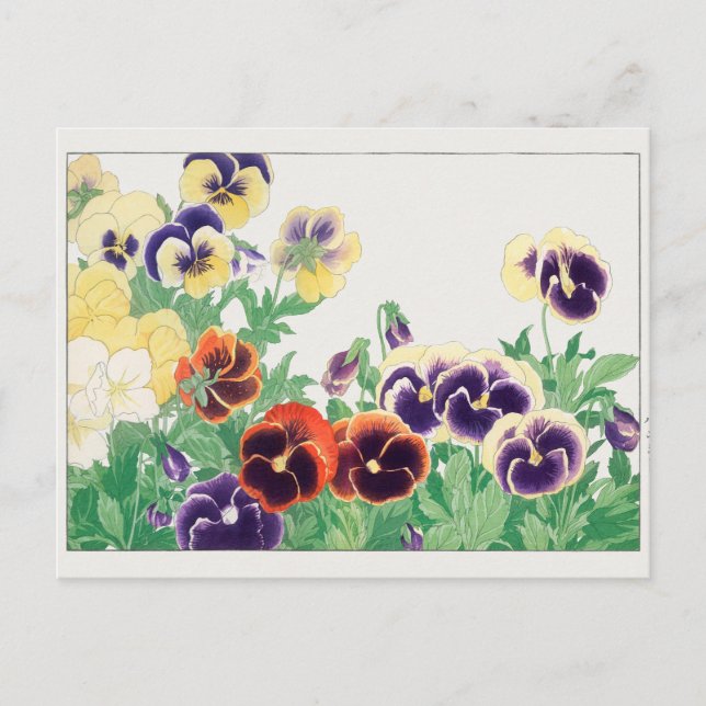 Carte Postale Pansy par Tanigami Konan (Devant)