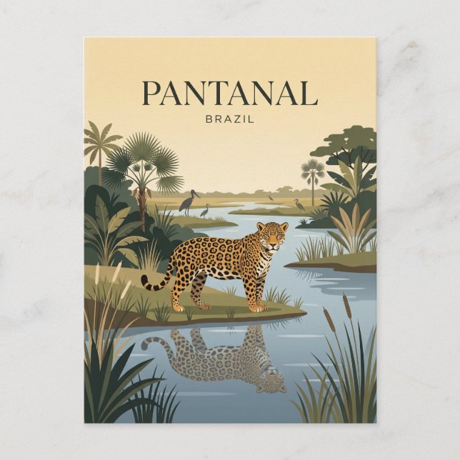 Carte Postale Pantanal Brésil (Devant)