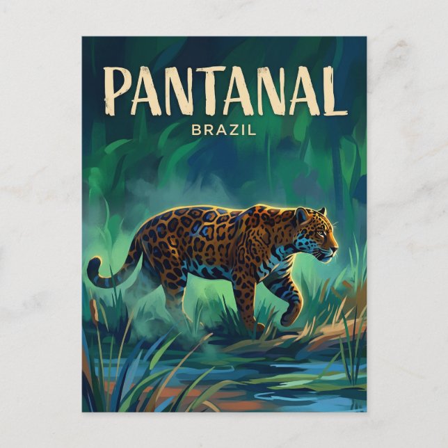 Carte Postale Pantanal Brésil (Devant)