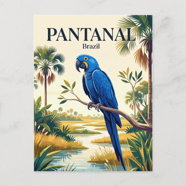 Carte Postale Pantanal Brésil (Devant)