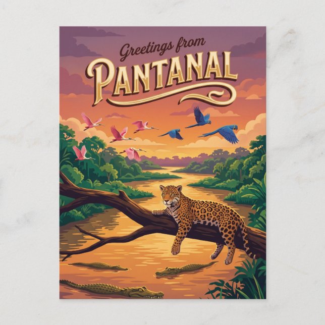 Carte Postale Pantanal Brésil (Devant)
