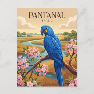 Carte Postale Pantanal Brésil