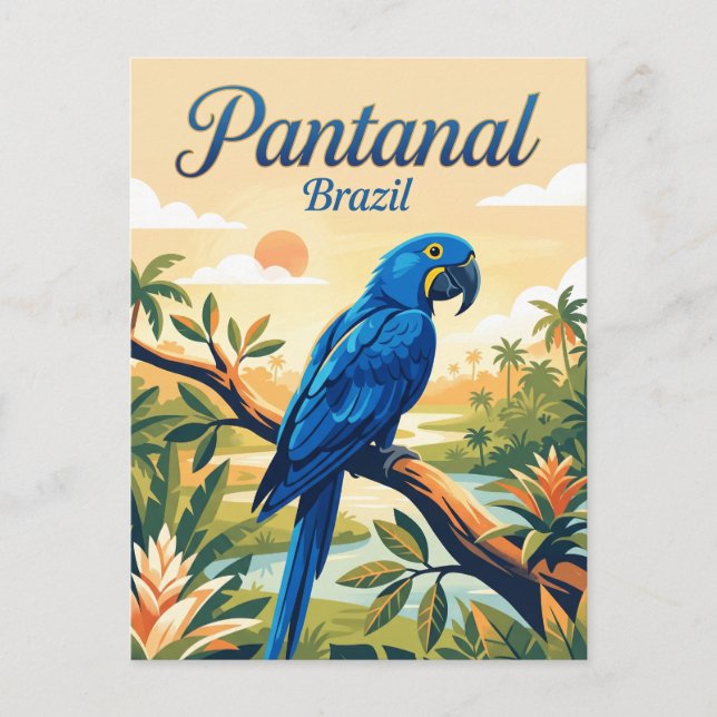 Carte Postale Pantanal Brésil (Devant)