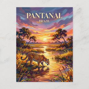 Carte Postale Pantanal Brésil