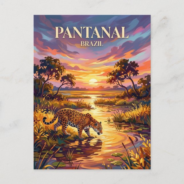 Carte Postale Pantanal Brésil (Devant)
