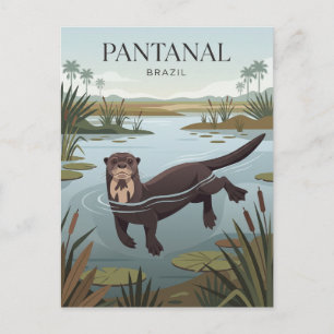 Carte Postale Pantanal Brésil