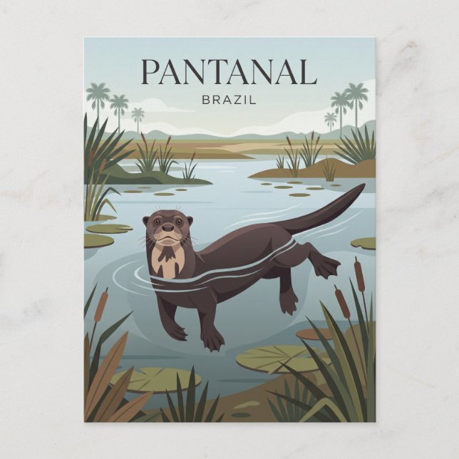 Carte Postale Pantanal Brésil (Devant)