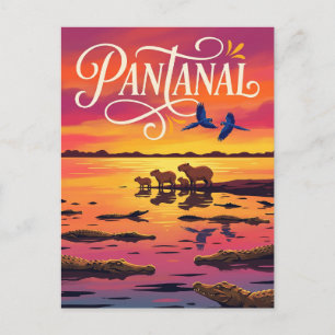 Carte Postale Pantanal Brésil