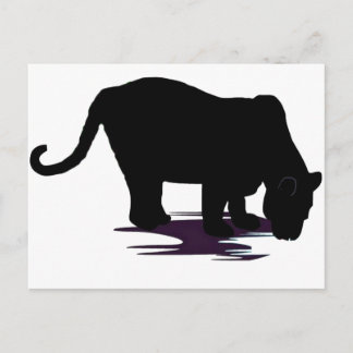 Carte Postale Panthère noire