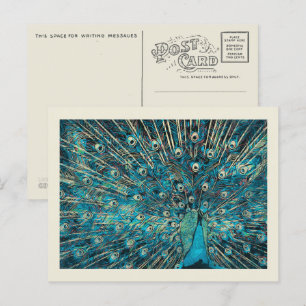 Carte Postale paon bleu avec queue dépliée