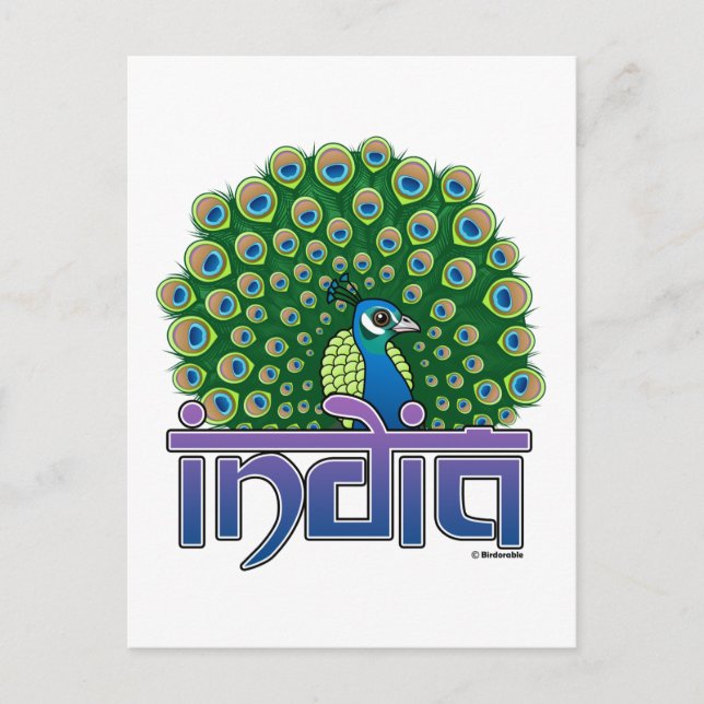 Carte Postale Paon de l'Inde (Devant)