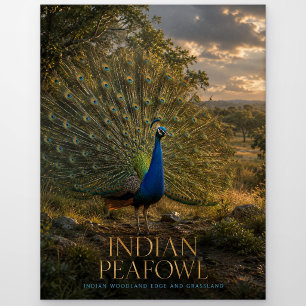 Carte Postale Paon indien lisière de forêt ANIMALS