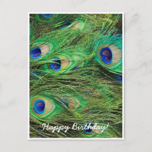 Carte Postale Paon magnifique