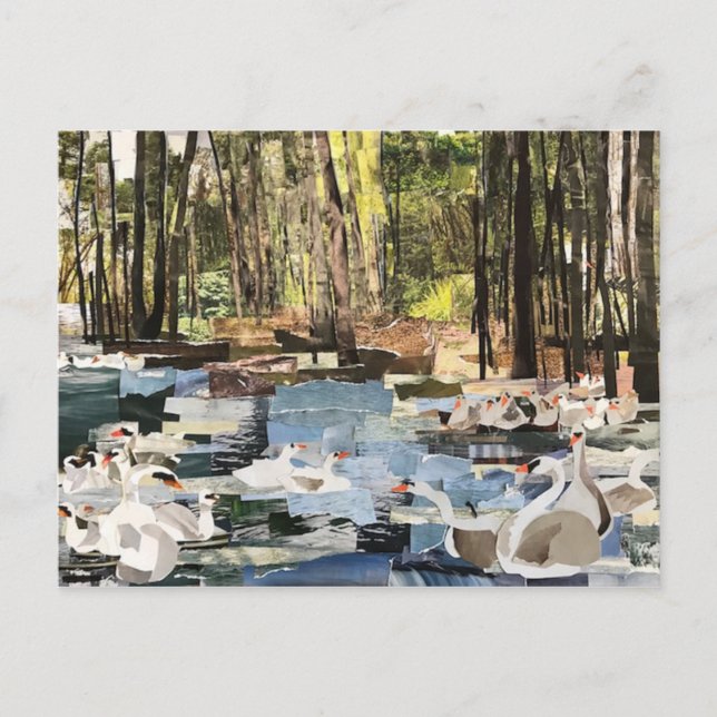 Carte Postale Papier coupé "Swans On the River" de Willowcatdesi (Devant)