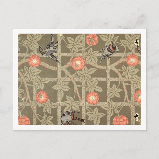 Carte Postale Papier peint Trellis avec fond vert bouteille (Devant)