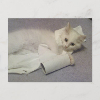 Carte Postale papier toilette