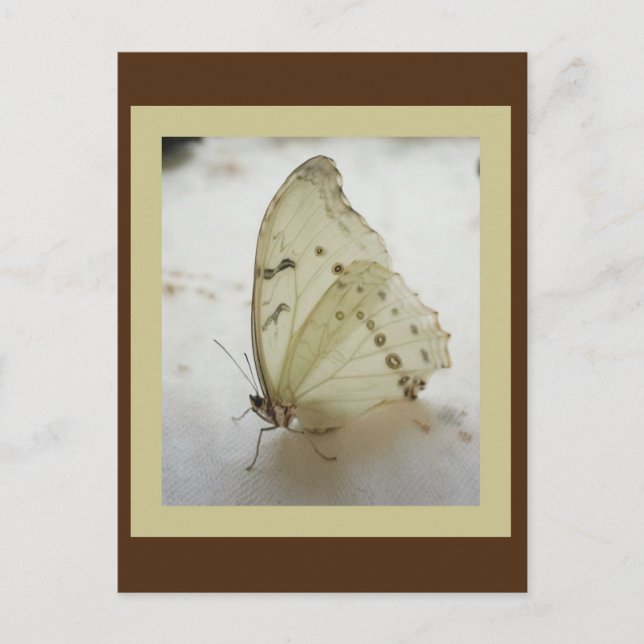Carte postale Papier transparent (Devant)
