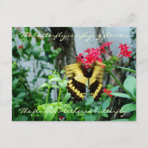Carte postale Papier volant / Devis
