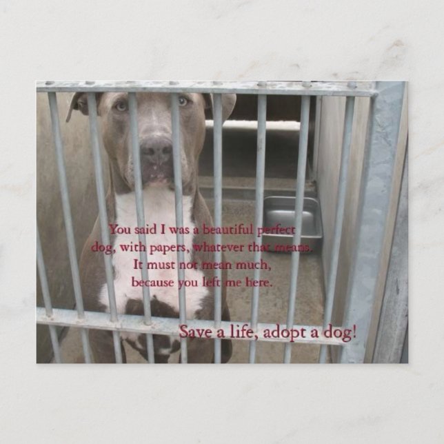 Carte Postale papiers (Devant)