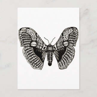 Carte Postale papillon