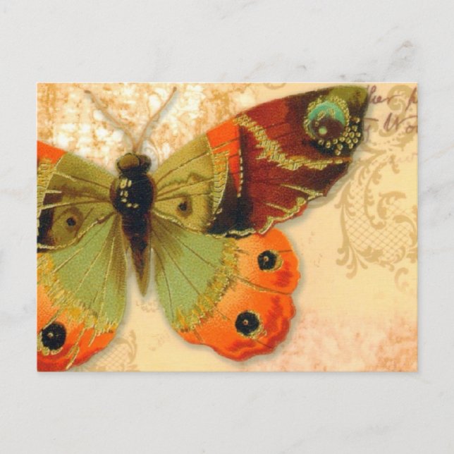 Carte postale "Papillon" (Devant)