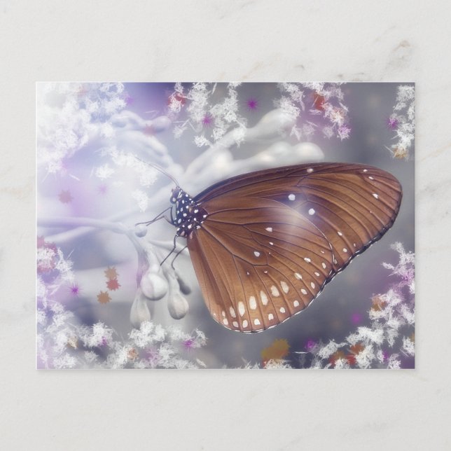 Carte Postale Papillon (Devant)