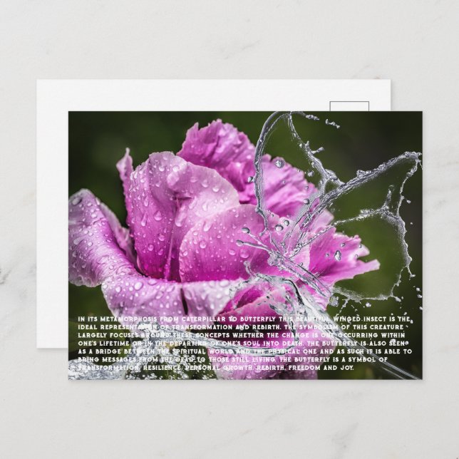 Carte postale papillon (Devant / Derrière)