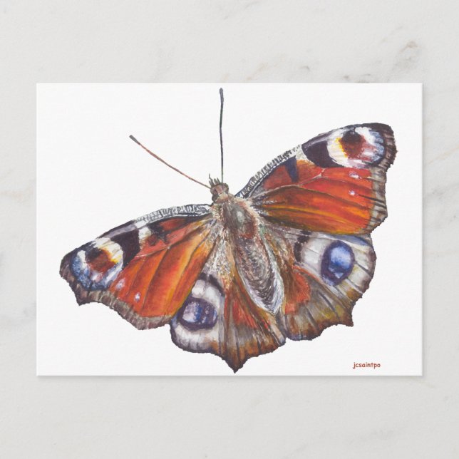 Carte Postale Papillon (Devant)