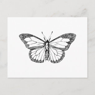 Carte Postale Papillon