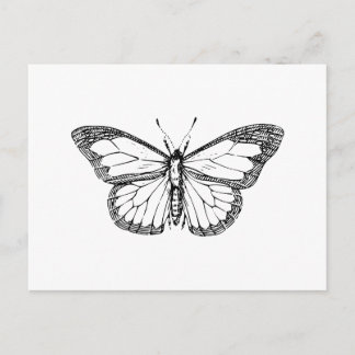 Carte Postale Papillon