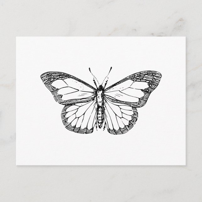 Carte Postale Papillon (Devant)
