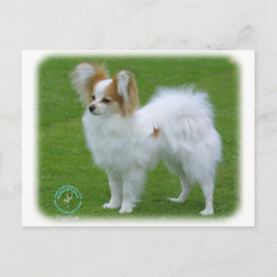 Carte Postale Papillon