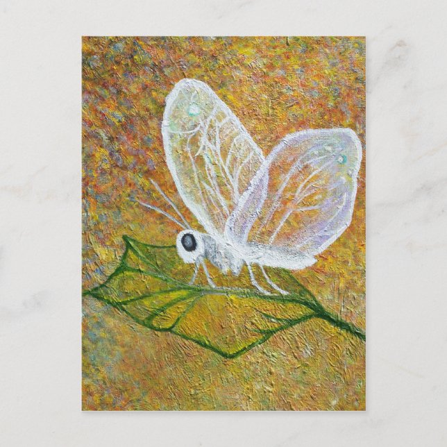 Carte Postale Papillon (Devant)