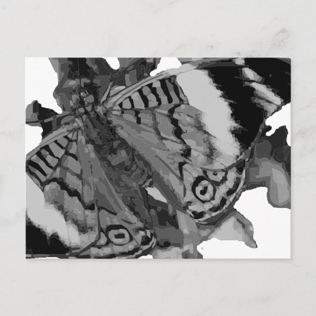 Carte Postale papillon (Devant)