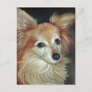 Carte postale Papillon