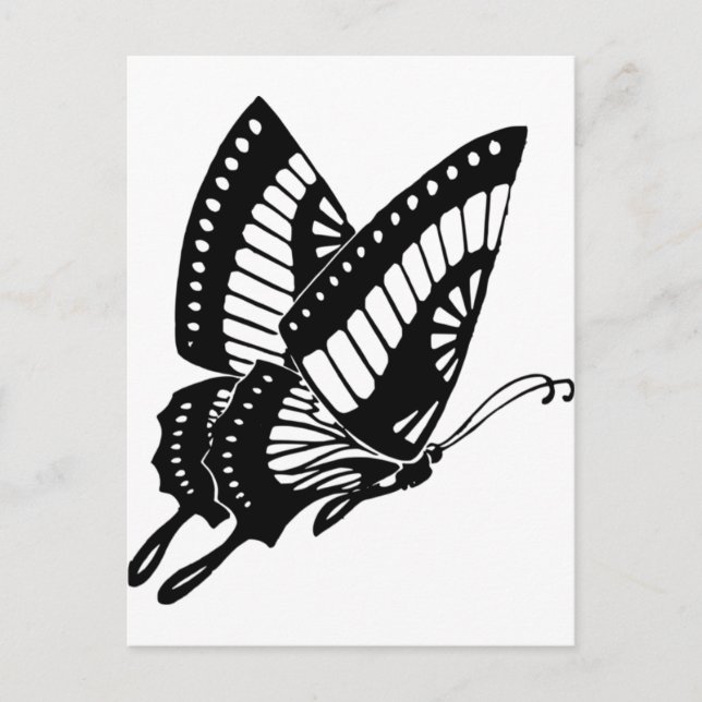 Carte Postale Papillon (Devant)