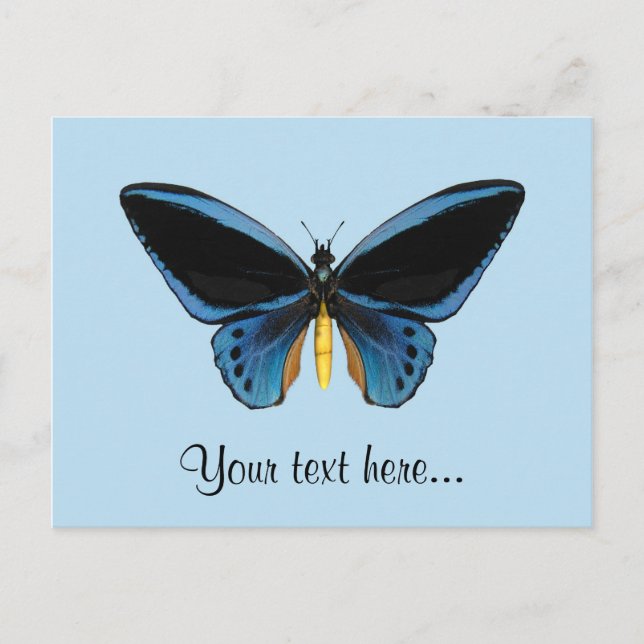 Carte Postale Papillon (Devant)