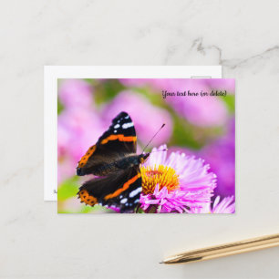 Carte postale Papillon Amiral Rouge