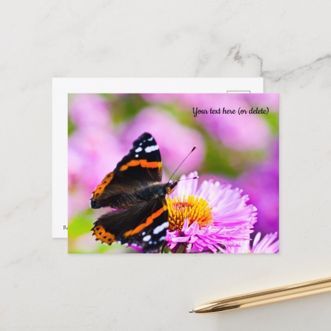 Carte postale Papillon Amiral Rouge (Devant/Arrière en situation)