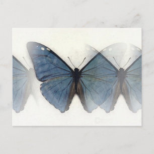 Carte Postale Papillon bleu